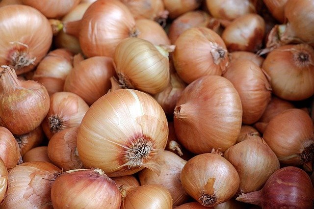  Govt rushes to control onion price