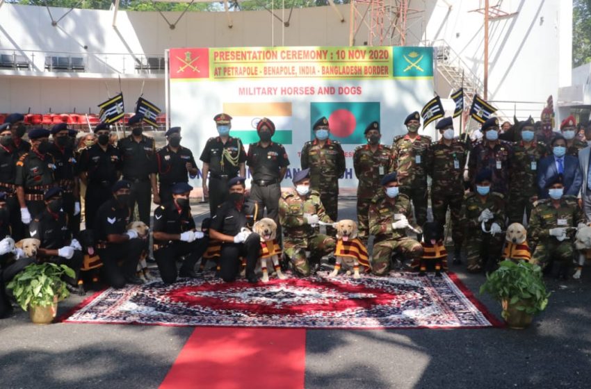  Army hands over trained military horses and mine detection dogs to Bangladesh
