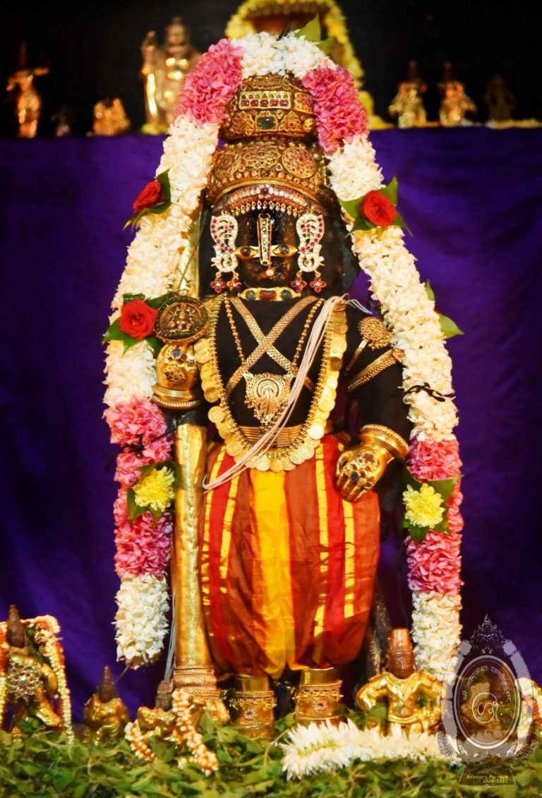 Tulasi Pooja commences at Sri Krishna Matha - The Canara Post