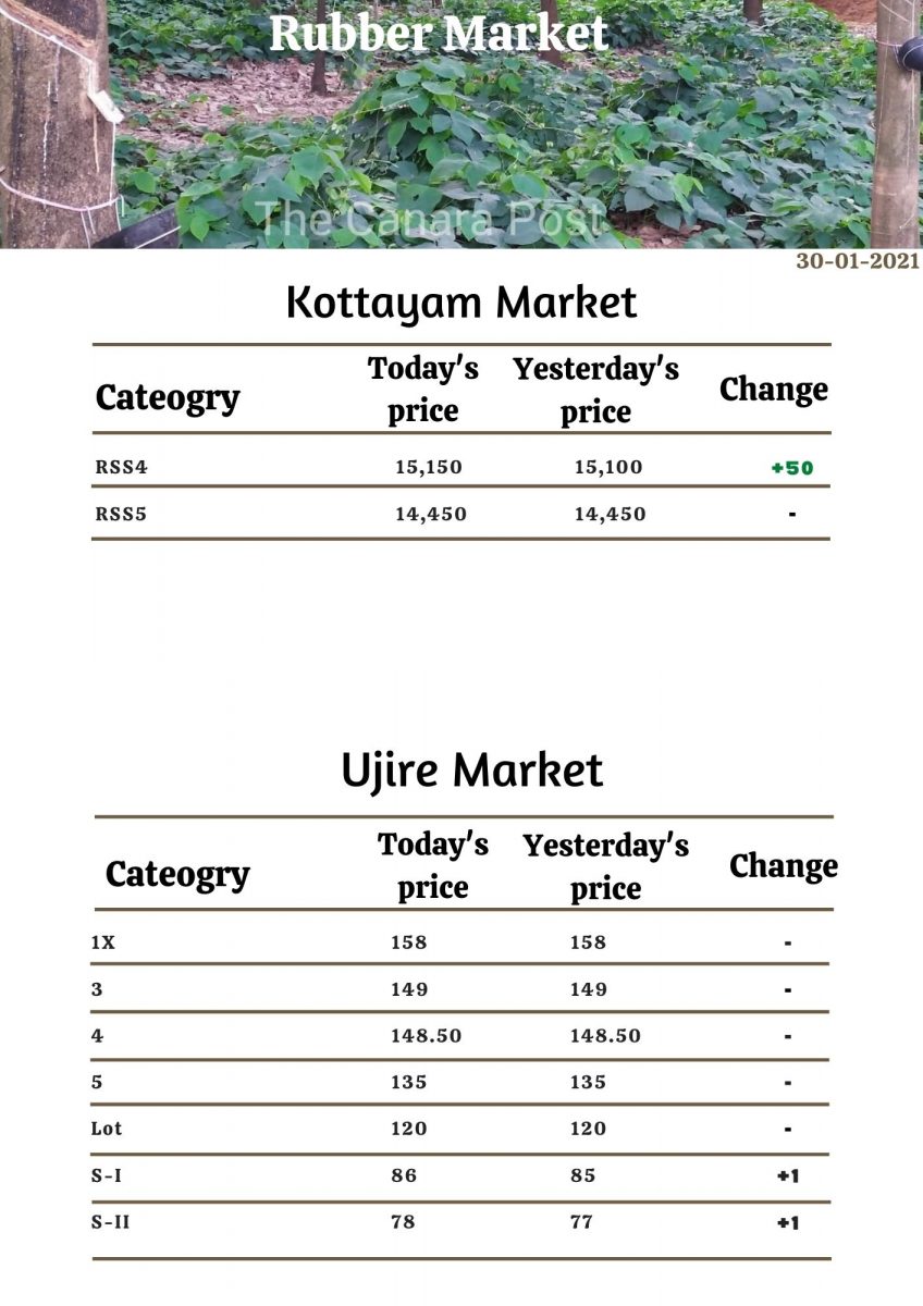 Rubber Market