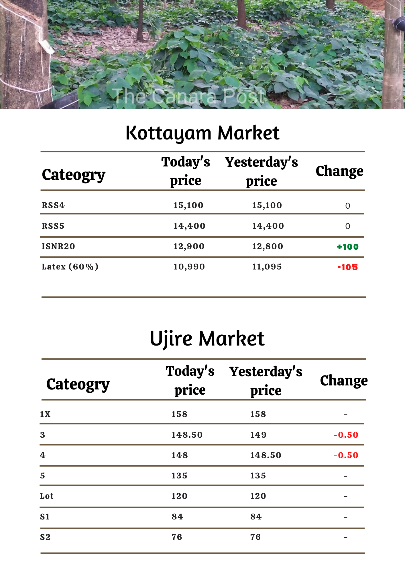 Rubber Market