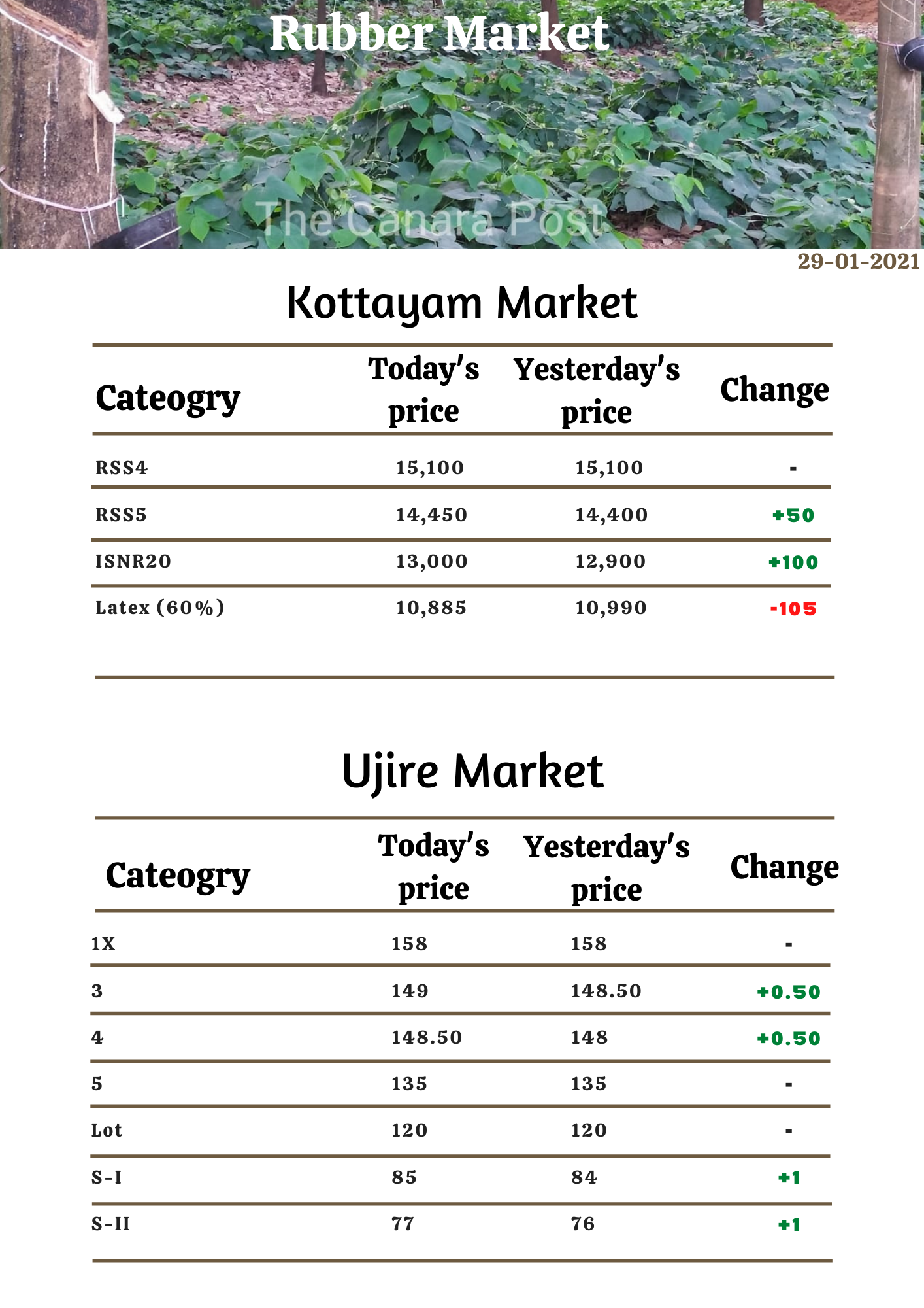 Today's Rubber Price 