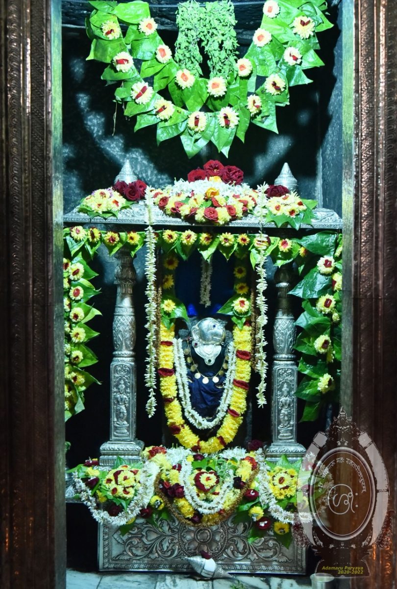 Udupi Krishna alankara