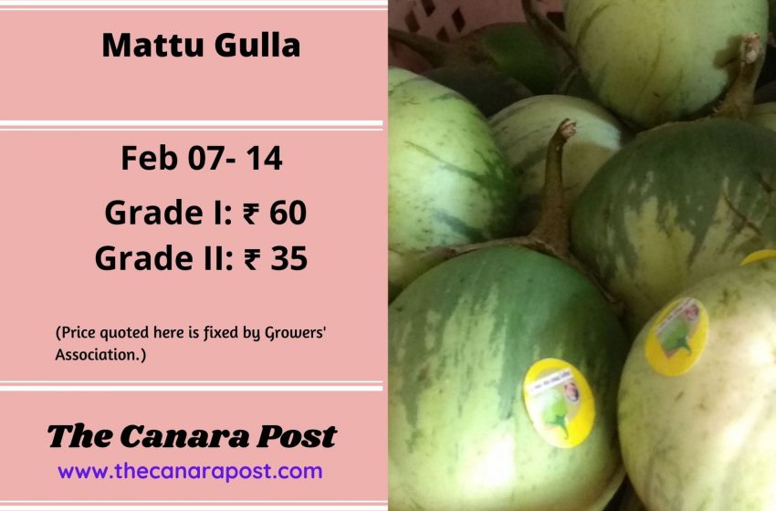  Mattu Gulla Market: Feb 7-14