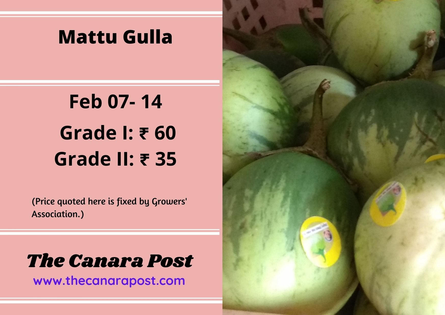 Mattu Gulla price