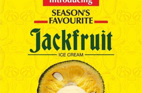 Hangyo answers Naya Kya Hai with Jackfruit Ice-Cream
