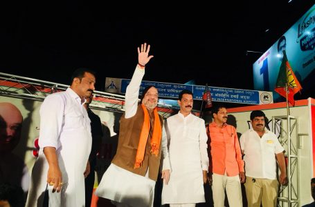Coastal Karnataka BJP cadres seek High Command’s firm decision on state leadership