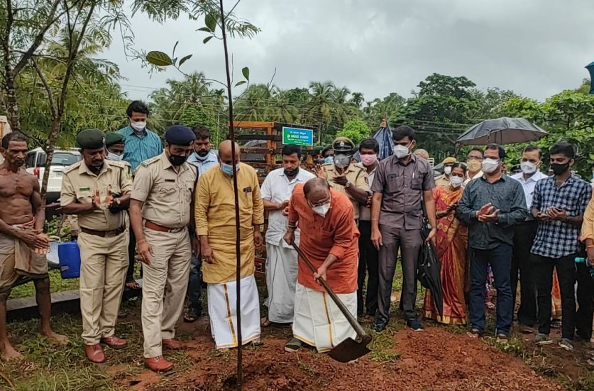  Ten thousand saplings to be planted on Cherkady-Brahmavar stretch