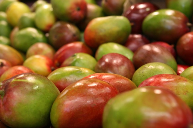  India expands mango export footprint to newer countries