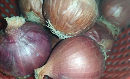  Prices of Onion, Tomato and Potato cheaper than last year