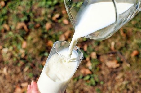 National Milk Day on Nov 26