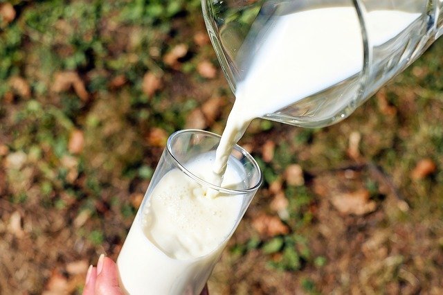  National Milk Day on Nov 26