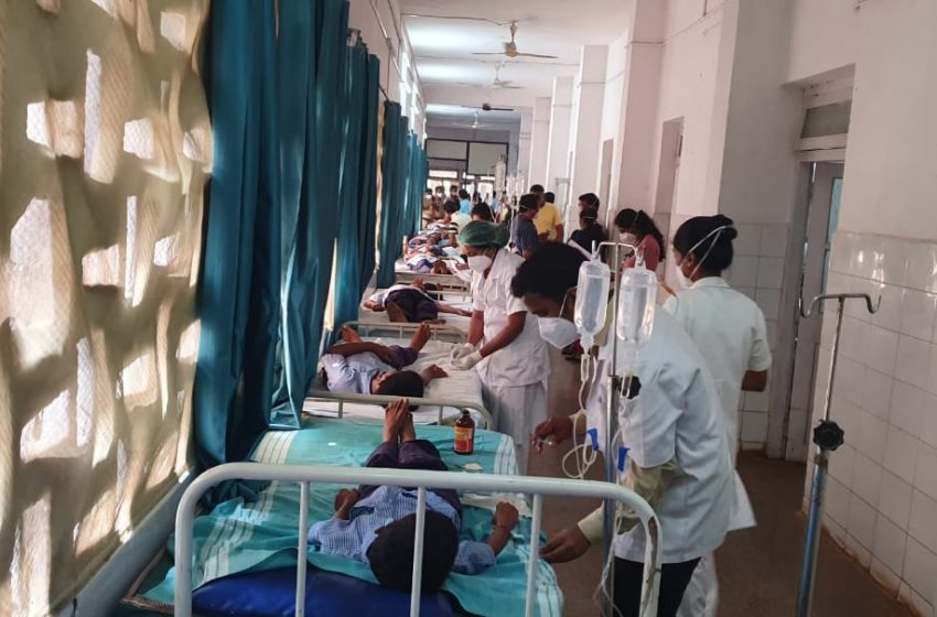  Swarm of bees attack students in Karwar