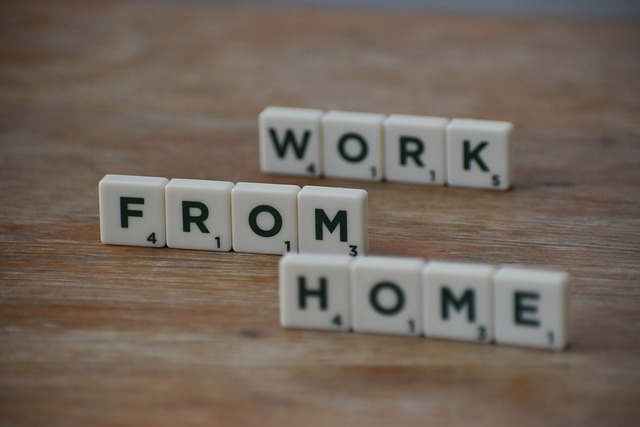  Department of Commerce amends SEZ rules to liberalize Work From Home