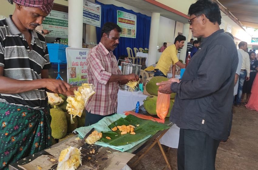  Jackfruit Mela in Udupi turns out to be crowd puller