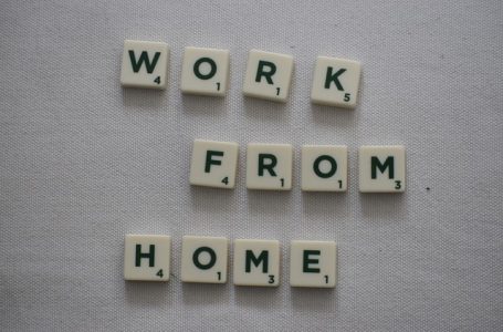 Department of Commerce notifies rules for Work from Home for Special Economic Zones