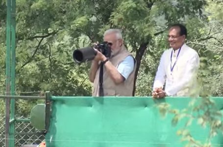 Live: Prime Minister Modi releases wild cheetahs at Kuno National Park