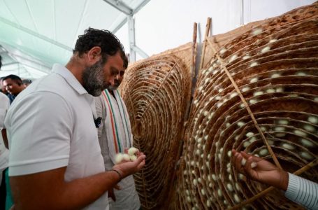 Rahul visits silk processing unit