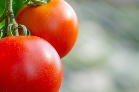 Department of Consumer Affairs directs procurement of tomatoes from AP, Karnataka and Maharashtra for  distribution in major consumption centres to check increasing retail price