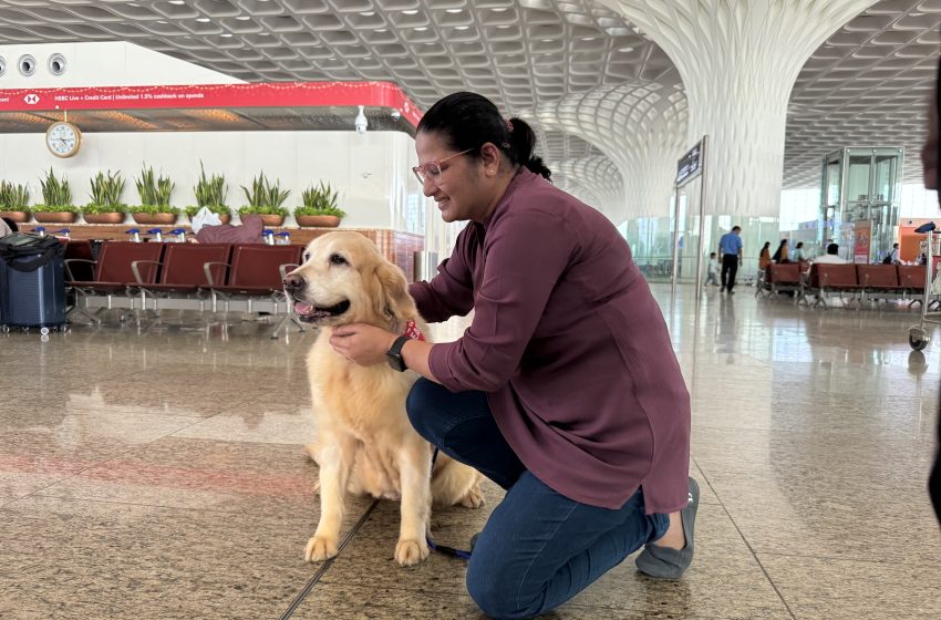  Mumbai International Airport brings back ‘Pawfect’ to ‘pawsitively’ enhance your travel experience