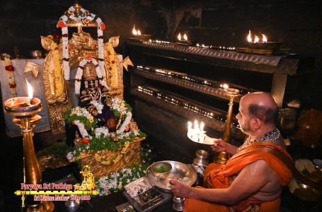 Udupi Sri Krishna Alankara