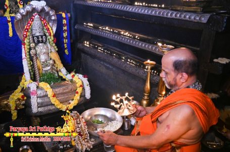 Udupi Sri Krishna Alankara