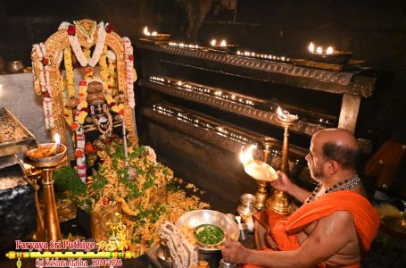 Udupi Sri Krishna Alankara