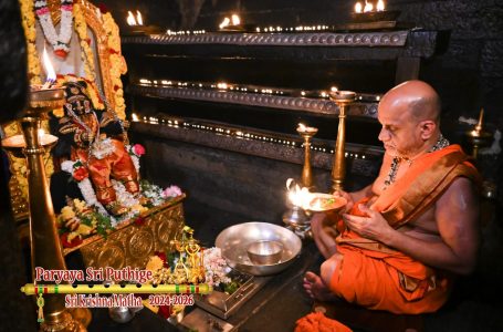 Udupi Sri Krishna Alankara