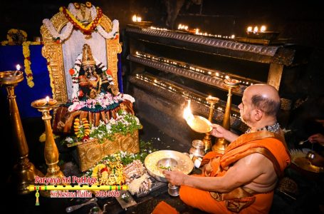 Udupi Sri Krishna Alankara