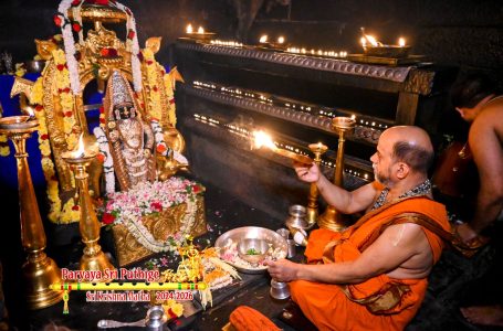 Udupi Sri Krishna Alankara