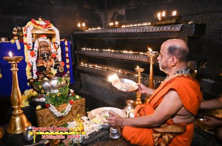 Udupi Sri Krishna Alankara