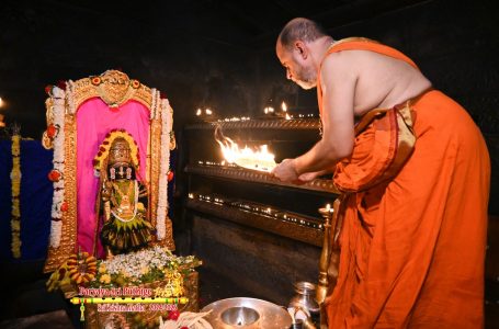 Udupi Sri Krishna Alankara