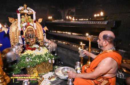 Udupi Sri Krishna Alankara