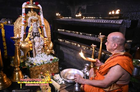 Udupi Sri Krishna Alankara