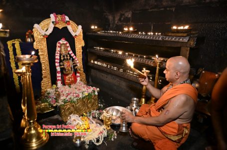 Udupi Sri Krishna Alankara