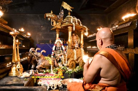 Udupi Sri Krishna Alankara