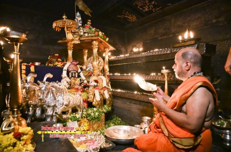 Udupi Sri Krishna Alankara