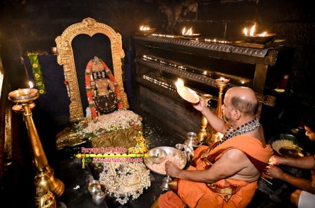 Udupi Sri Krishna Alankara