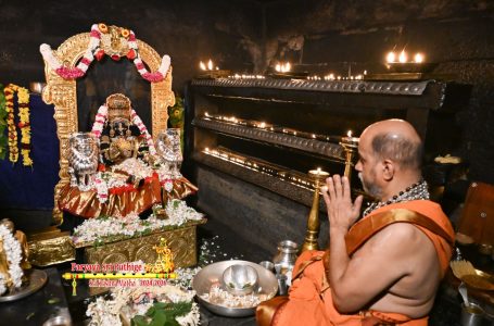 Udupi Sri Krishna Alankara