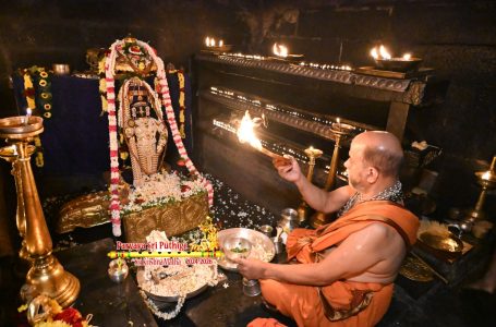 Udupi Sri Krishna Alankara